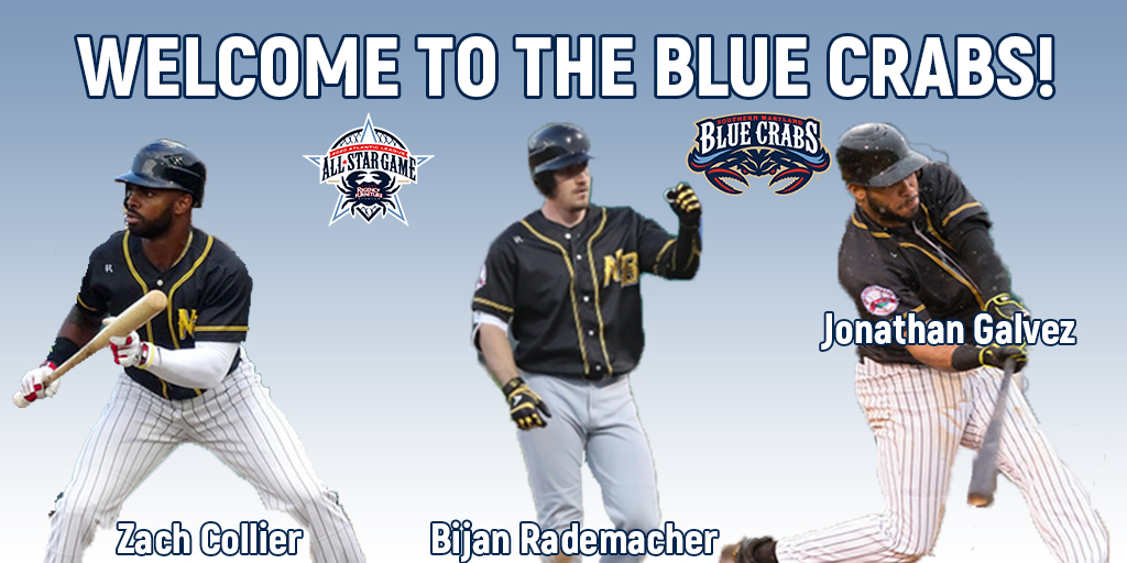  Blue Crabs Draft Trio of Bats in Bees Dispersal Draft
